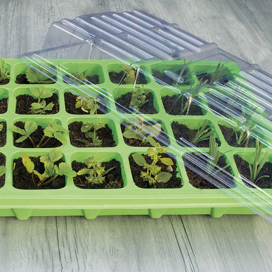 Lysegrønt minidrivhus med 24 rum og spirende planter under låg
