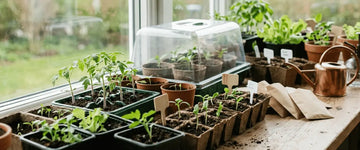 Kom i gang med forspiring – guide til begyndere