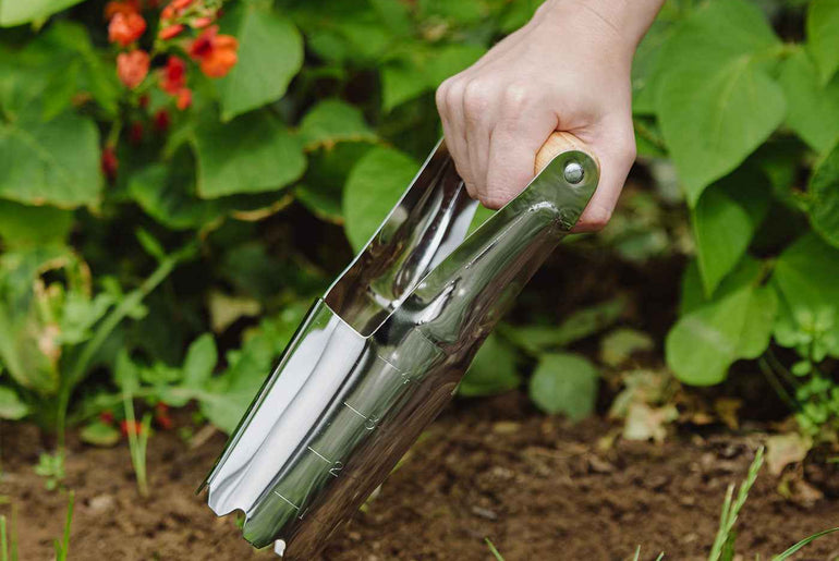 Kent & Stowe Løgplanter i rustfrit stål
