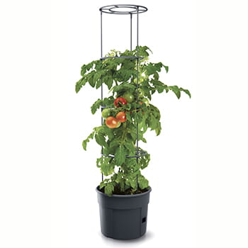 Tomatpotte 12 liter m/ bundvanding