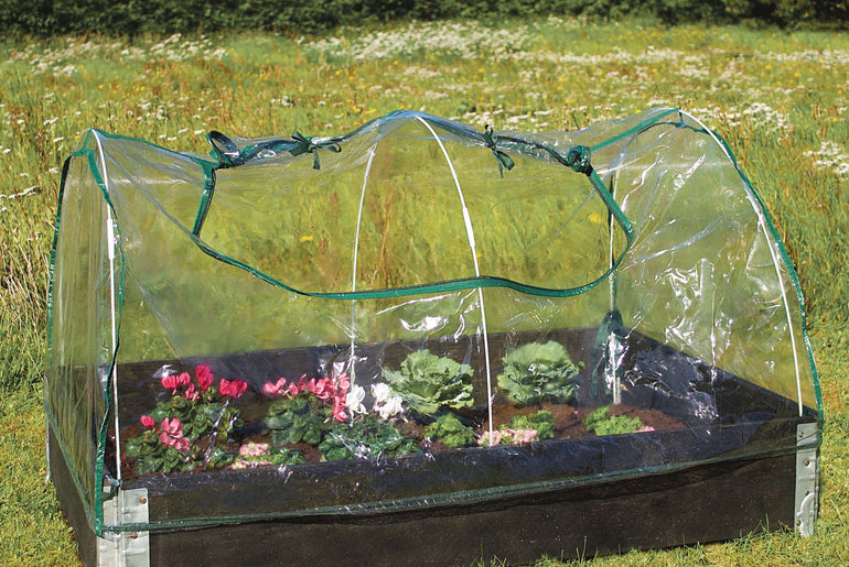 Lavt minidrivhus med opsmøget dug over blomsterbed