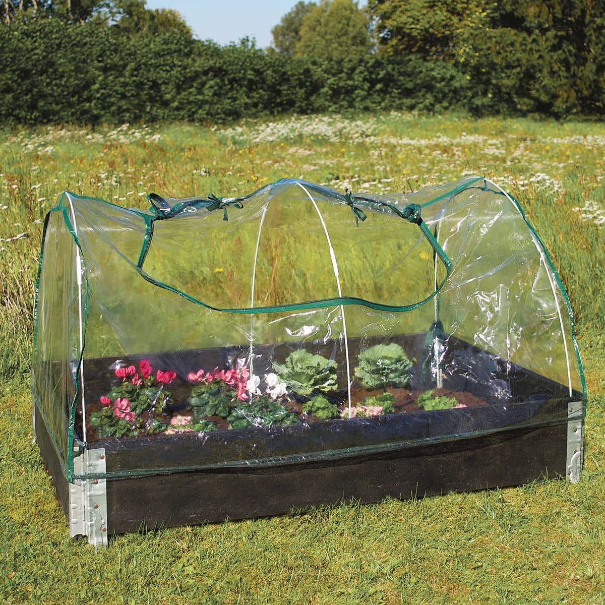 Lavt minidrivhus med opsmøget dug over blomsterbed
