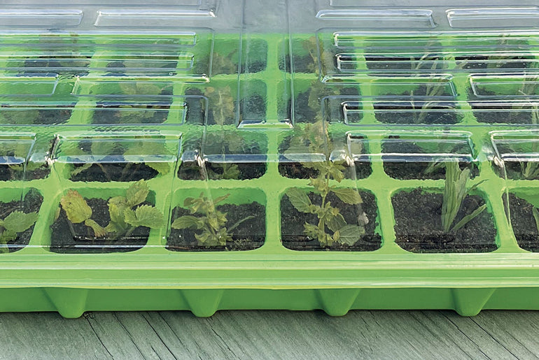 Minidrivhus med 24 rum og unge planter set fra siden